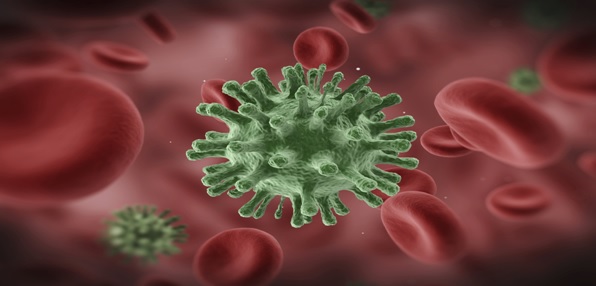 Avian-Influenza