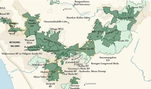Bandipur-National-Park