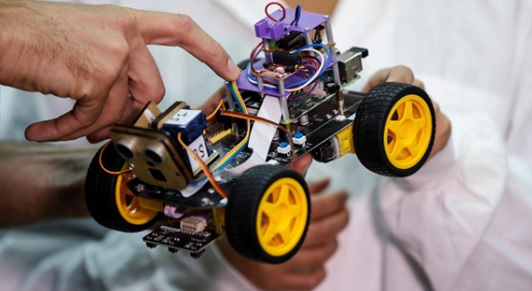 Bio-Hybrid-Robot