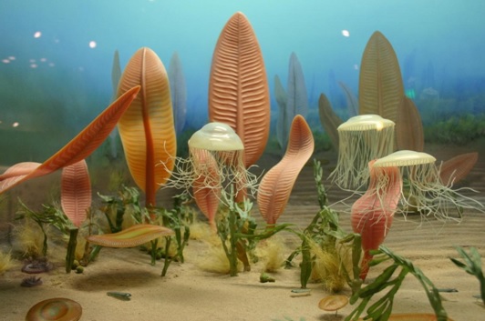 Ediacaran-period