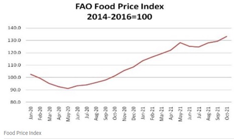 fao