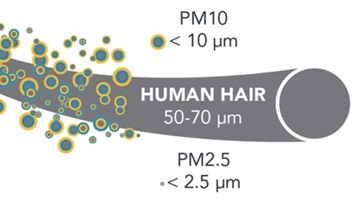 HUMANHAIR