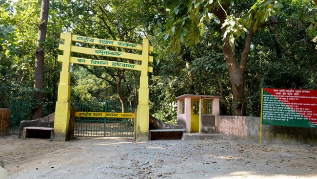 KALESAR