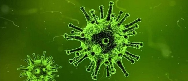 Mucous-membrane
