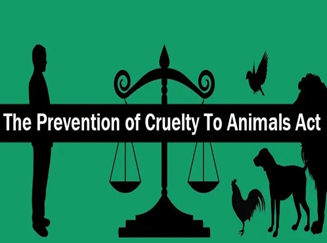 PETA