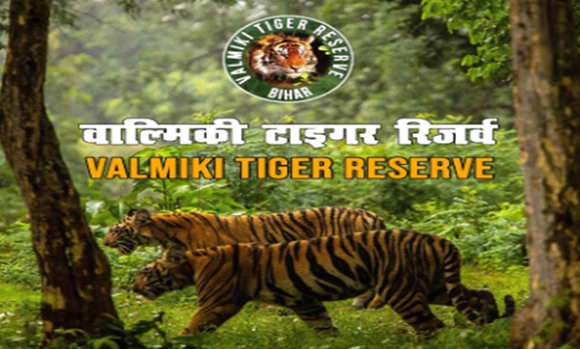 Valmiki-Tiger-Reserve