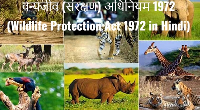 Wildlife-Protection-act