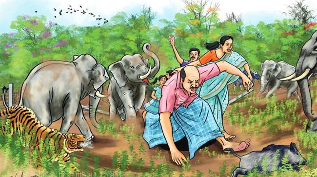 Wildlife-Protection