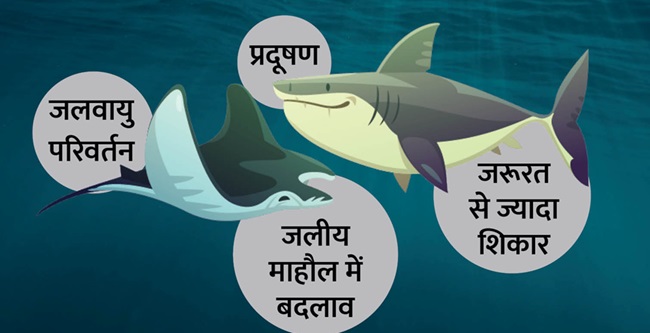 crisis-on-fishes