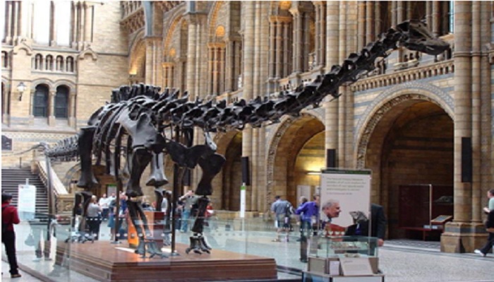 dippy-the-dinosaur