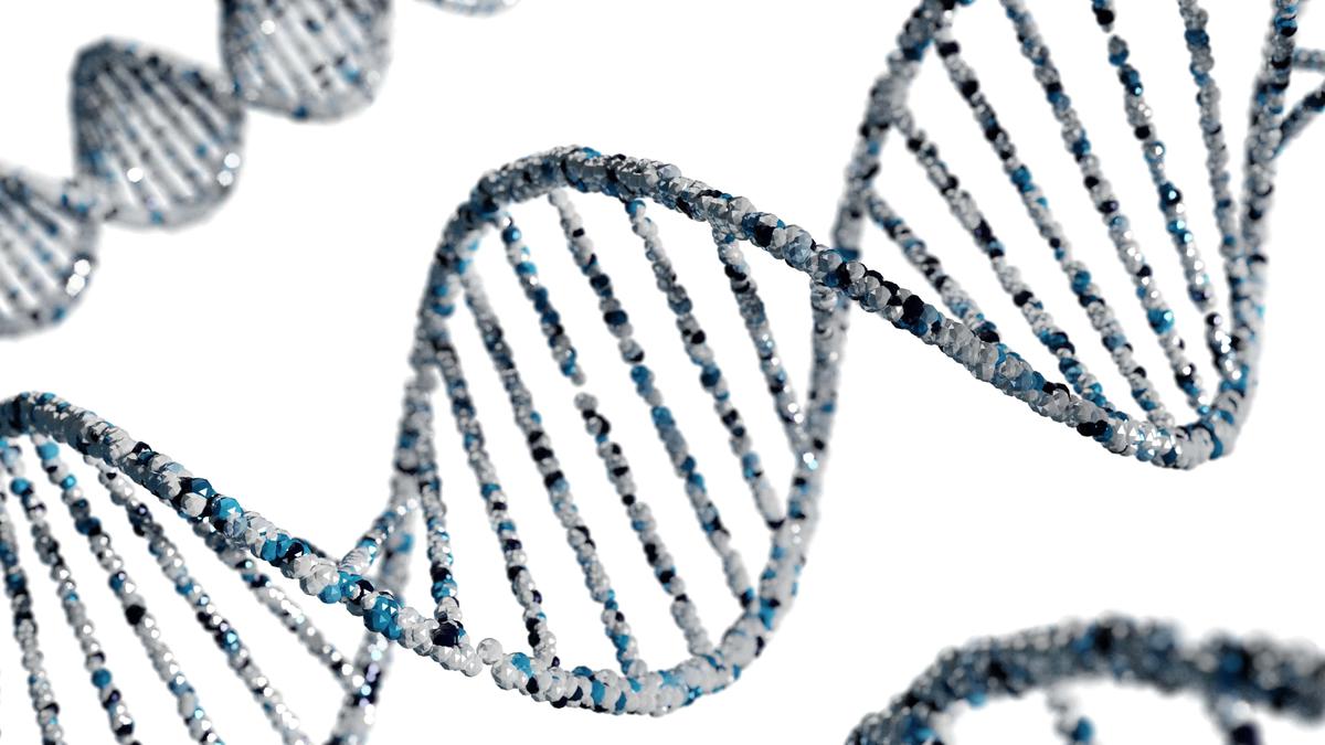 dna