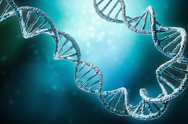 genome