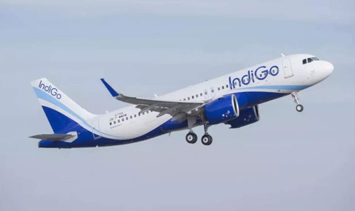 indigo