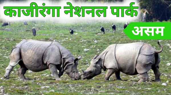 kaziranga-national-park