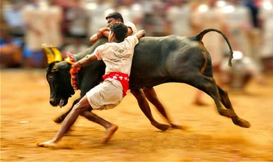 manjuvirratu