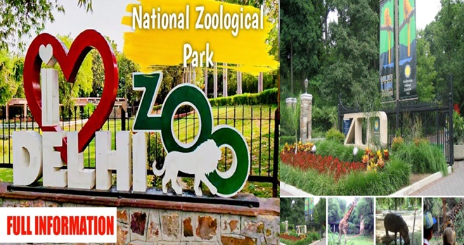 national-zoological-park