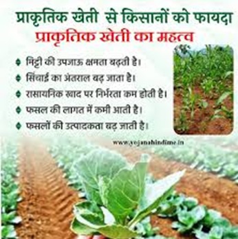 organic-farming-schemes