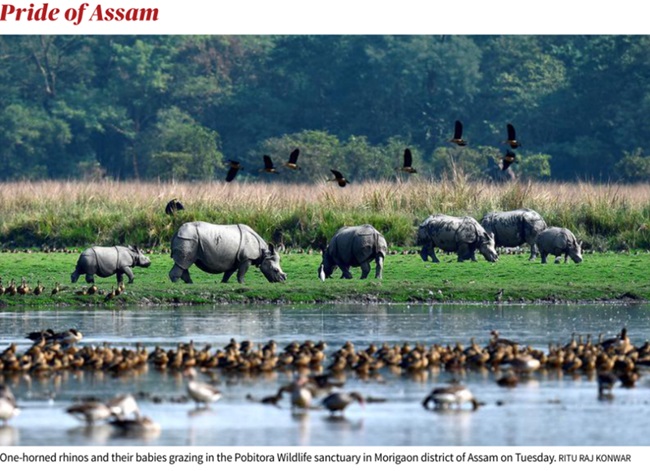 pride-assam