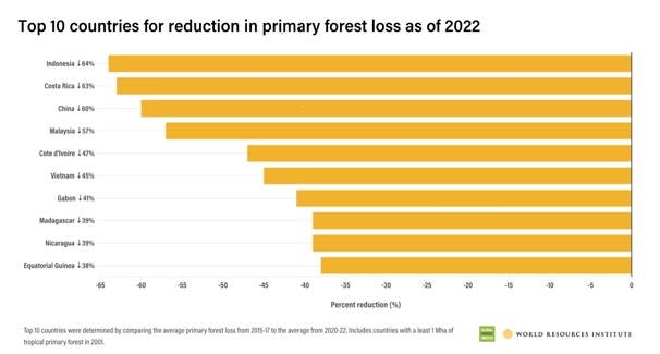 primary-forest-loss