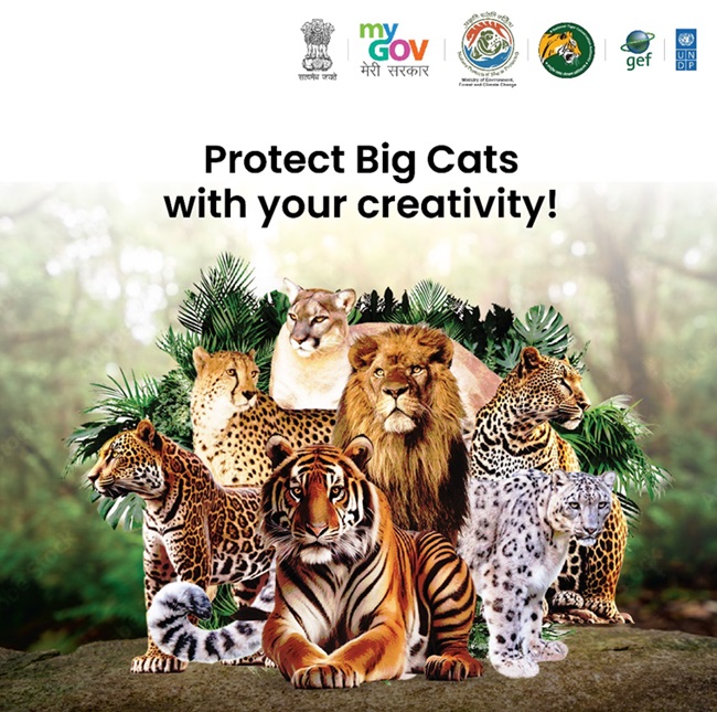 project-tigers