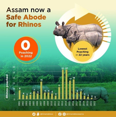 rhinos