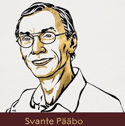 savante-paabo
