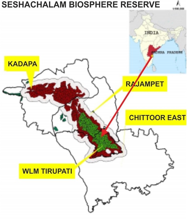seshachalam-biosphere-reserve