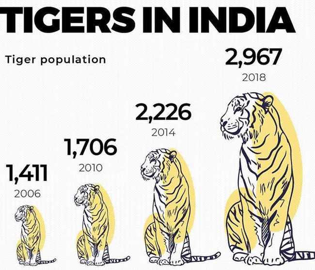 tigers-in-india
