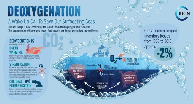 Aquatic-Deoxygenation