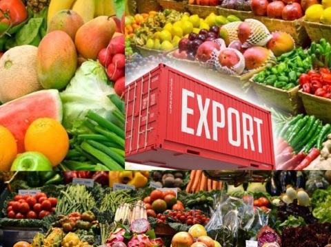EXPORT