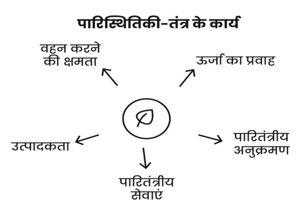 Functions_of_Ecological_System