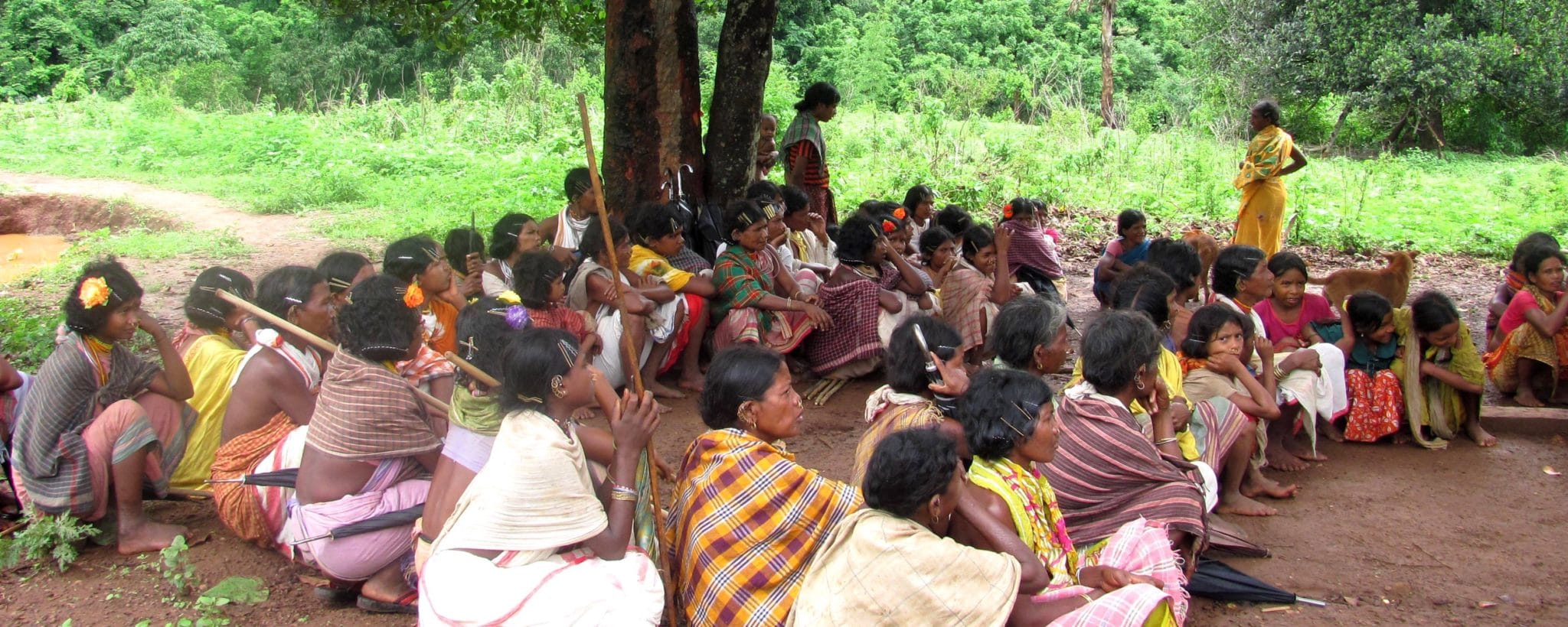 Scheduled Tribes  Tribal status: To be a scheduled tribe and being tribal  are no longer the same thing - Telegraph India