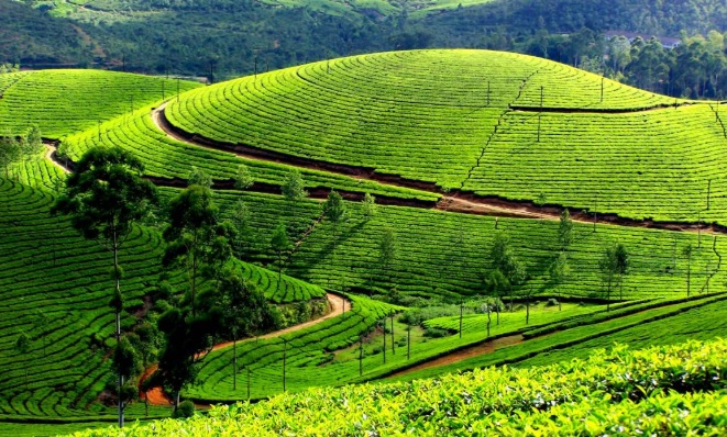 Munnar