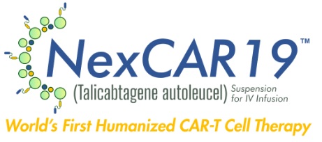 NexCAR19