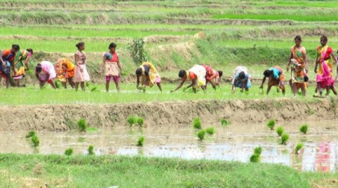 Women-Farmers