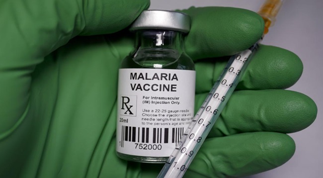 R21 Matrix M The Second Malaria Vaccine Sanskriti IAS